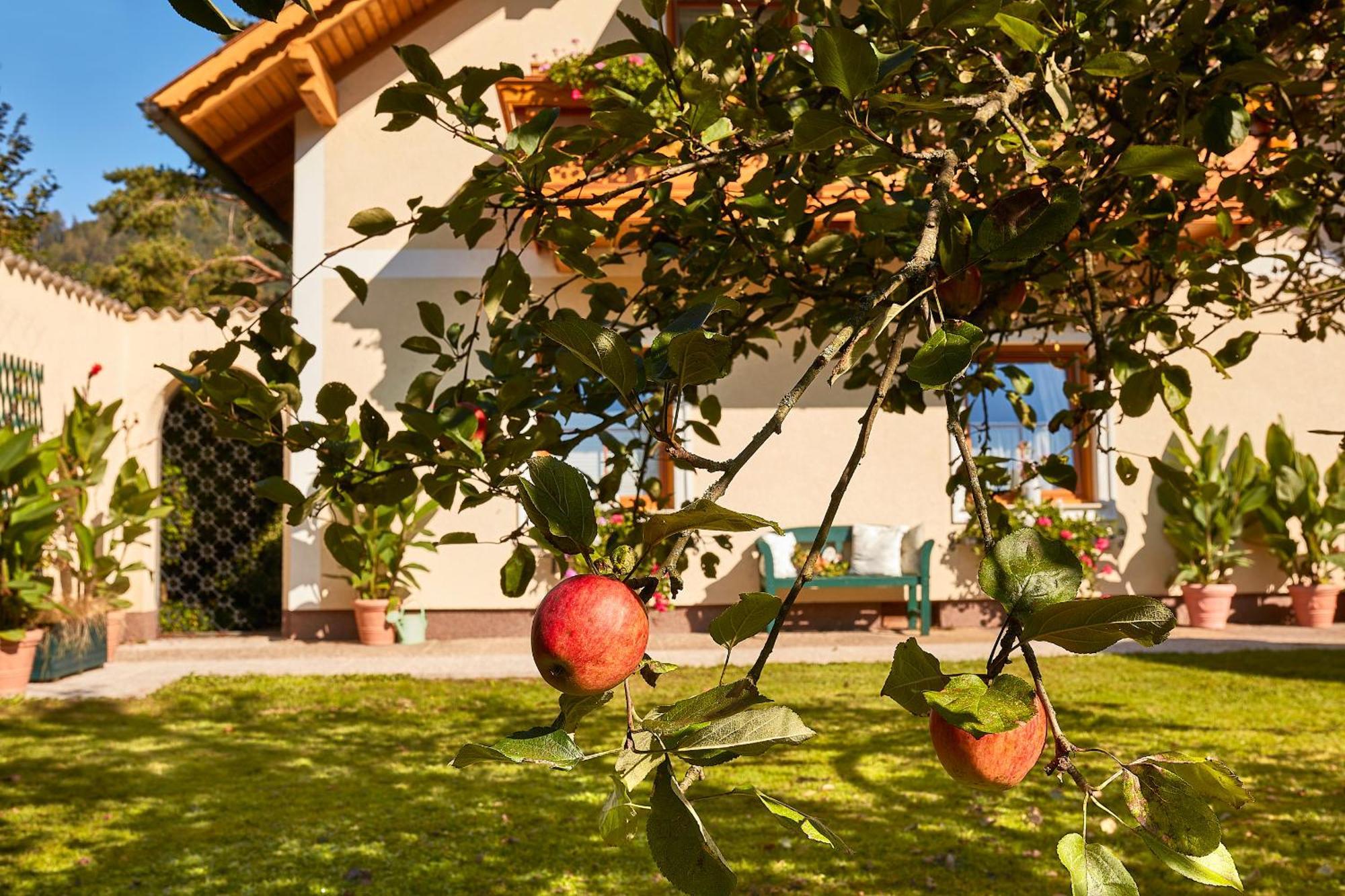 Ferienhaus Zur Maultrommel Molln المظهر الخارجي الصورة